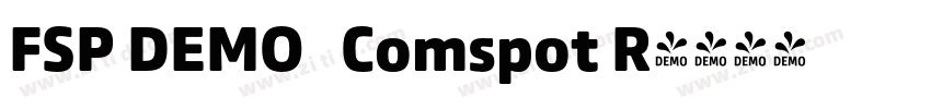 FSP DEMO   Comspot R字体转换